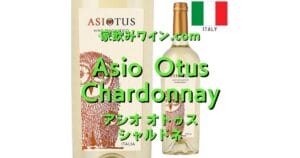 Asio Otus Chardonnay top_001
