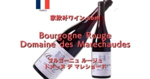 Bourgogne Rouge Domaine des Marechaudes top_002