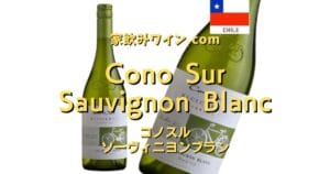 Cono Sur Sauvignon Blanc top_002