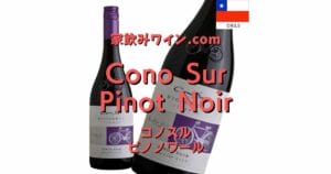 Cono Sur Pinot Noir top_003